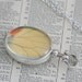 Yellow and Orange Spotted Delias Butterfly Wing Jewelry FREE SHIPPING