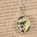 Butterfly Wing Jewelry with Tiger Swallowtail MOTHERS DAY SALE