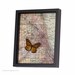 Framed Map of Chicago Map with Real Monarch Butterfly 1398