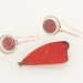 SALE - Insect Earrings Real Butterfly Wing Sangria Butterfly