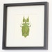 Framed Walking Leaf Real Insect Display