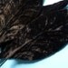 3 Large Velvet Millinery Leaves in Dark Chocolate for Headbands, Floral Supply, Crafts