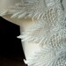 Venise Lace in Ivory for Bridal, Lace Jewelry, Costume Design L 3000iv