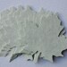 Large Leaf Cut Outs in Green Parchment
