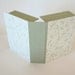 Clamshell box (4x6x2) sage with bamboo leaf - Ready to ship