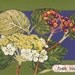 Botany thank-you 4-card set and handmade envelopes