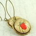 Entomology Red Beetle Earrings - Insect Jewelry