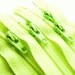 Ten 10 Inch Fluorescent Green YKK Zippers Color 872