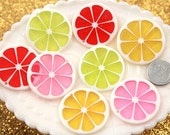 35mm Colorful Citrus Fruit Resin Charms - 5 pc set