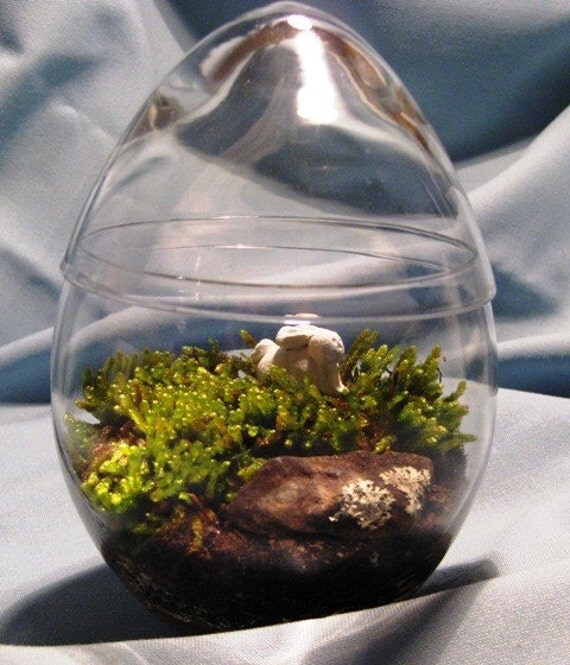 Egg Shaped Easter Terrarium with Bunny and Moss Rock