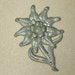 Authentic Edelweiss WW2 German Mountain Troops Cap Badge