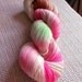 Buckeyed Ohio State Luxury Sock yarn 1 of 2