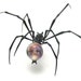 Amber Skulback Spider