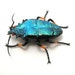 dichroic glass Emerald Jewel Beetle - sparkly glass beetle figurine