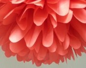 Light Red... 1 pom Il_170x135