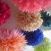 Your Pick... 20 poms