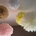 Afloat 5 Piece Pom Kit