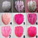 Wholesale Feather Pads - YOU CHOOSE 5 - Curled Goose Nagorie Pads