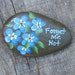 Idaho river rock- paper weight-hand painted acrylic original Forget me nots