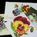 Antique Lot of 4 Germany Embossed Colorful Pansy Floral Postcards, Some Unused, 616