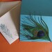 Peacock feather cards - set of 5 turquoise cards with real peacock feathers