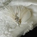 Bridal fascinator, Wedding Feather Fascinator, Ivory Feather Fascinator, Feather Hair Clip - DEIDRA