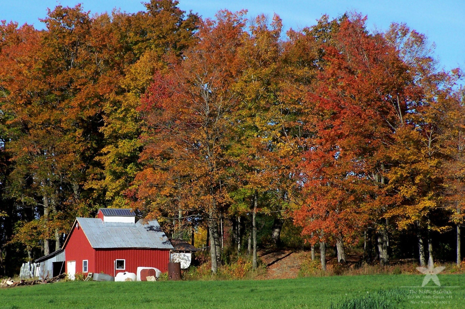 Red Barn With Fall Foliage in Holland Vermont. by TheNobleStarfish