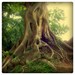 Les Racines numero 1 - 5x5 Fine art photo