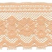 Final Yardage - Daisy Raschell Follow the Sun Peach Poly Lace 2 inch width - 3 yards