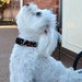 Make it Yourself, Crazy for Collars Instructional EBook, How to with BONUS