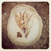 Ceramic Porcelain hand made tea bag holder with olive leaf embossed.