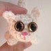 Adopt A Kitten -- Popcorn