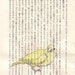 Life in the stories, A little canary - postcard