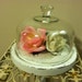 Cloche, Shabby Chic Cloche