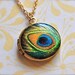 The Tiniest Peacock Feather Locket - Vintage