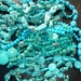Huge lot of Turquoise Beads - Box full of various turquoise beads - Destash - Closeout