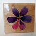 Flower Rubber Stamp by Inkadinkado