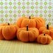 Fall Pumpkins for the Harvest Season (set V)