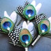 4 peacock themed wedding flowers groomsmen peacock boutineer feather wedding pin peacock feather pin peacock boutonniere