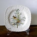 Vintage Alfred Meakin "Cedar Bird" Plate, Audubon Birds of America