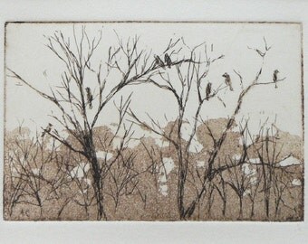 original etching and aquatint of woodland trees with birds