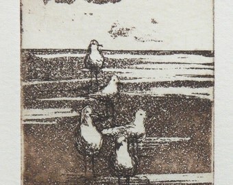 original etching with aquatint - seagulls on the beach