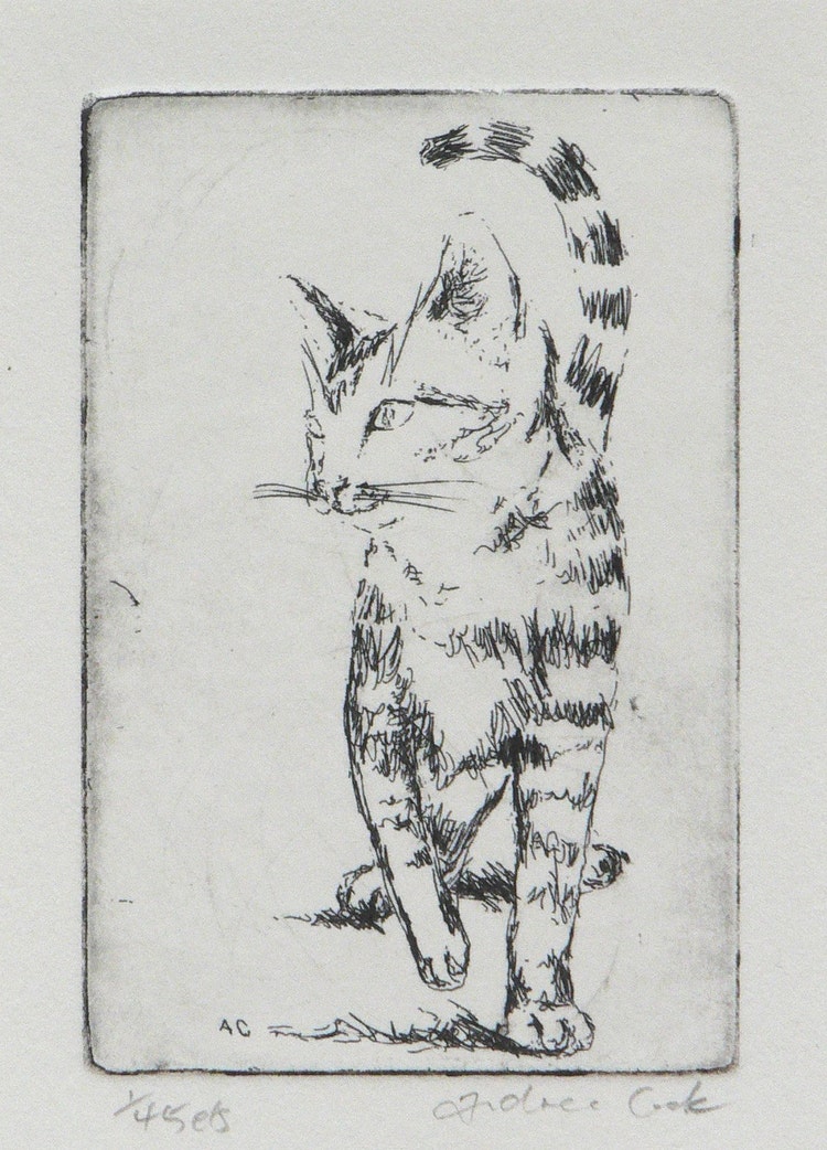 4 original cat etchings set by atelier28 on Etsy