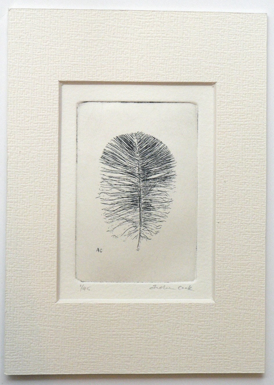 original etching of a feather by atelier28 on Etsy