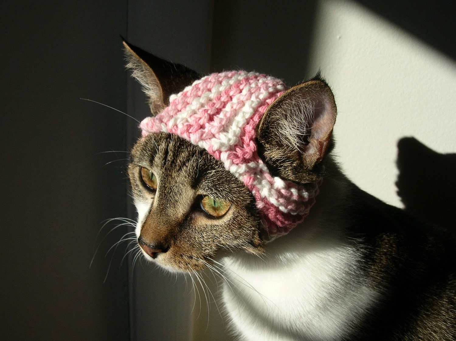 Pretty in Pink Cat by scooterKnits on Etsy