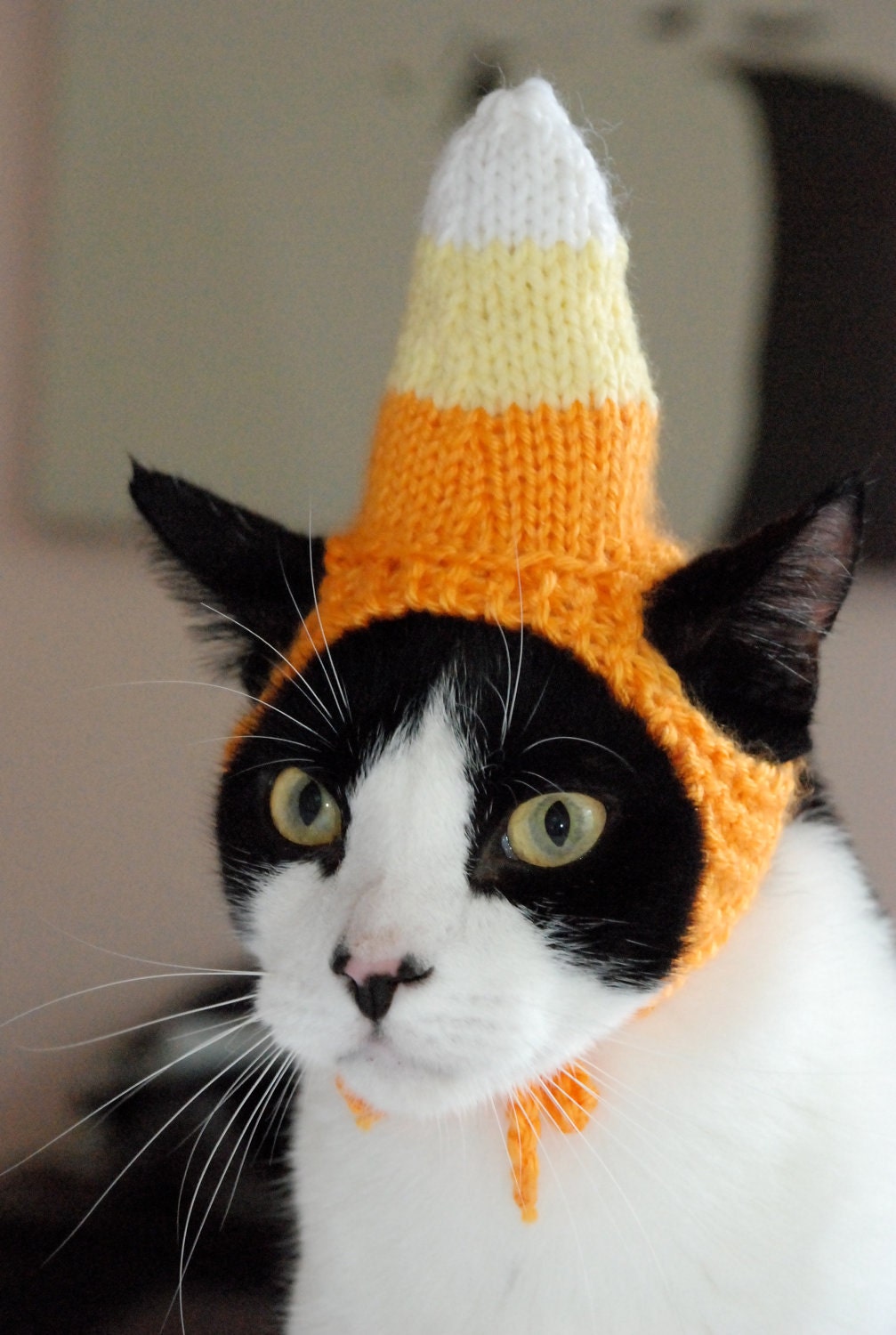 Candy Corn Cat Hat by scooterKnits on Etsy