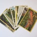 1940s Linen Postcard Lot- Blowing Rock and Linville, North Carolina-Caverns