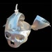 Special Reserve basic Skull Purse for Michael Noren