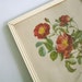 Vintage Framed Redoute Botanical Print Shabby Cottage Wild Rose RESERVED FOR MANDY