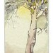 Original Watercolor Fine Art Painting - The Poet's Tree